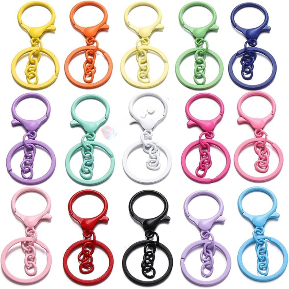 Colorful Iron Keychain with Snap Hook Carry